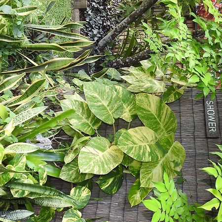 Aremango Guesthouse Rarotonga Zewnętrze zdjęcie