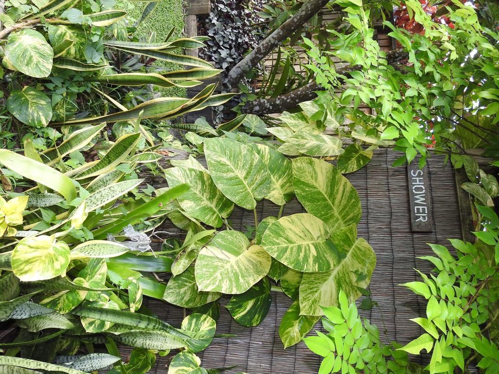 Aremango Guesthouse Rarotonga Zewnętrze zdjęcie